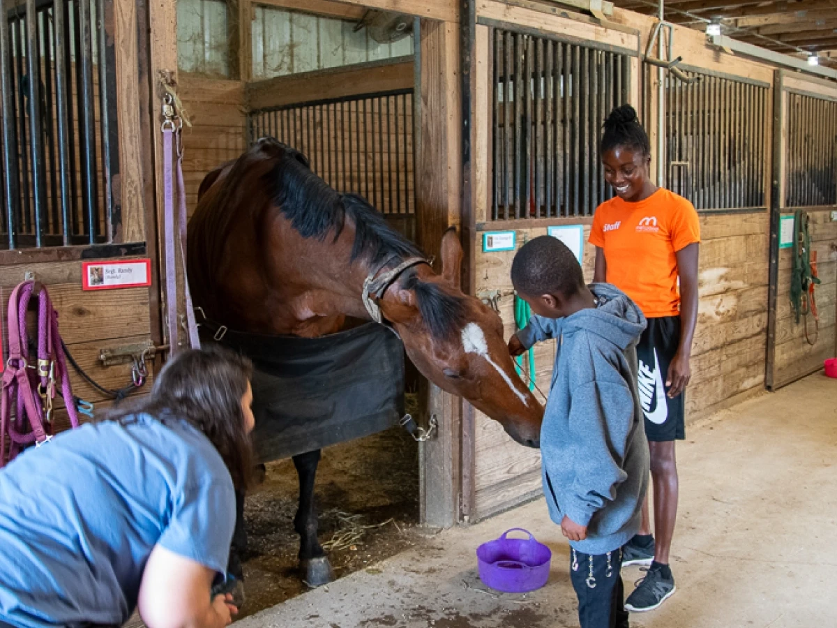 Campers at Camp Accomplish eagerly pet a friendly horse inside of a stable.